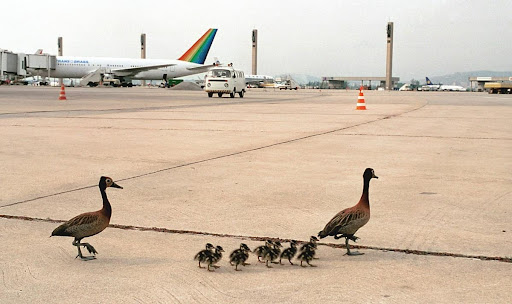 International Airports